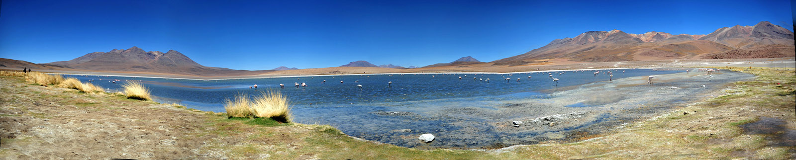 Lagoon1