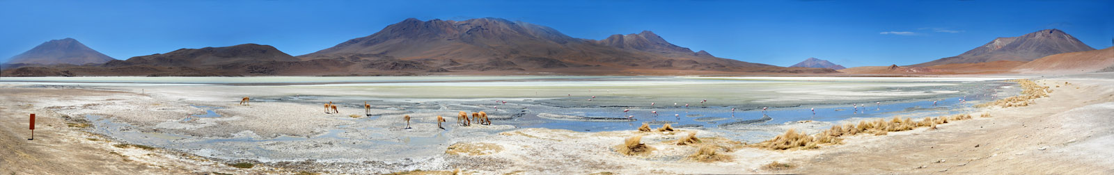 Lagoon2