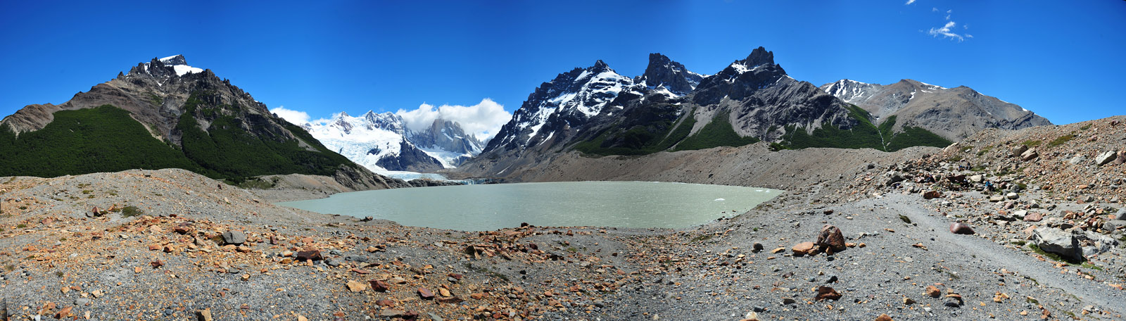 Lagotorre